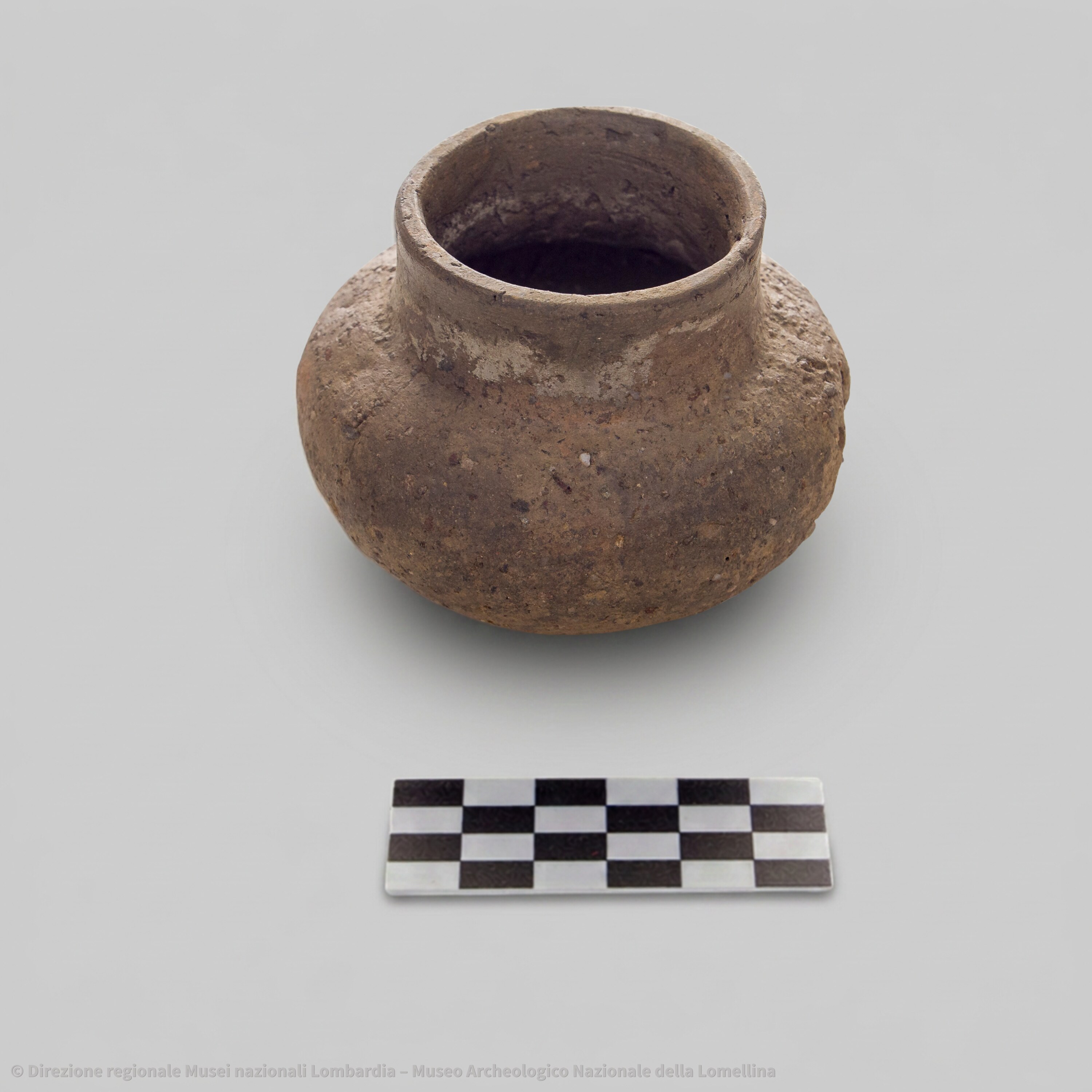 Olla n. inv. 7336