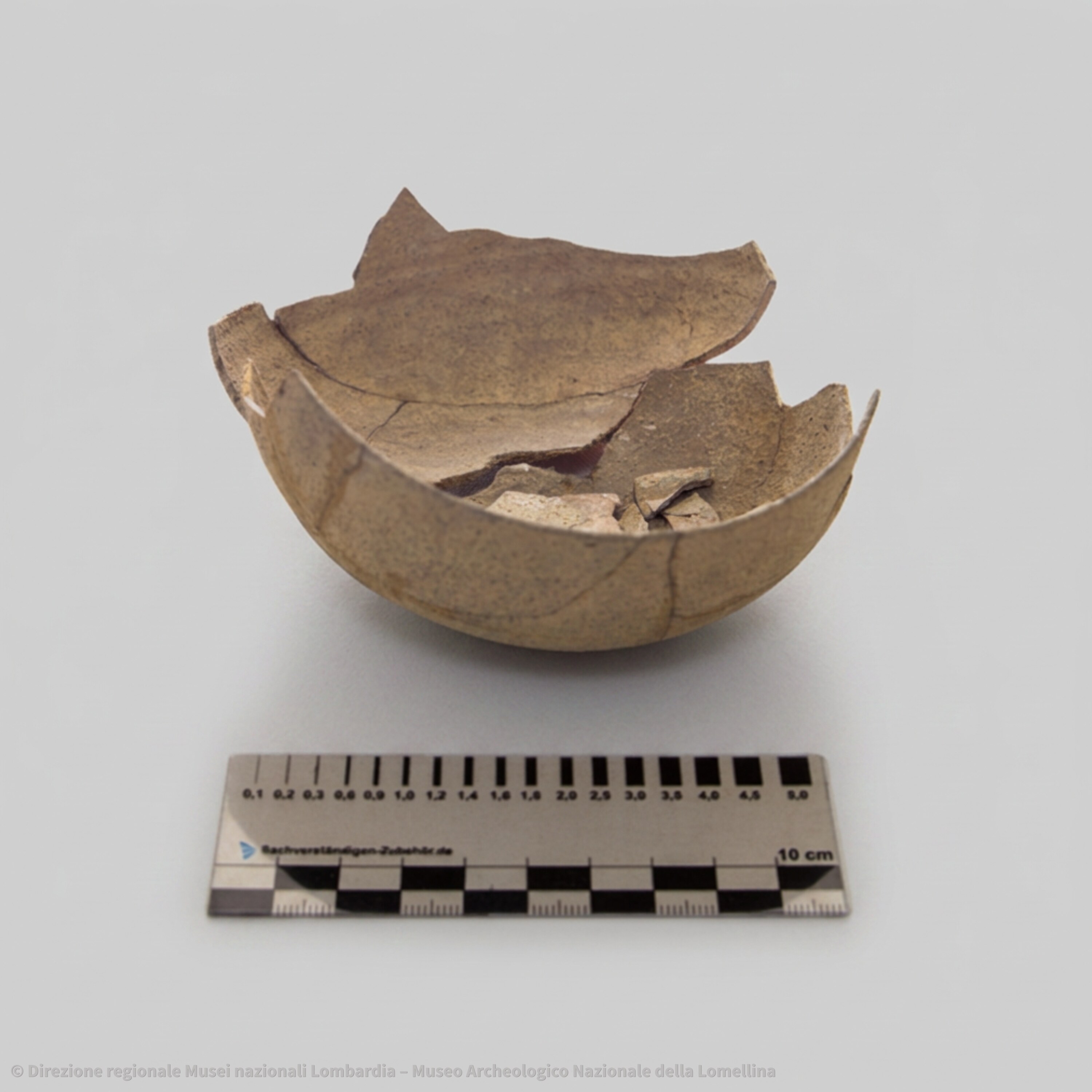 Coppa n. inv. 13303