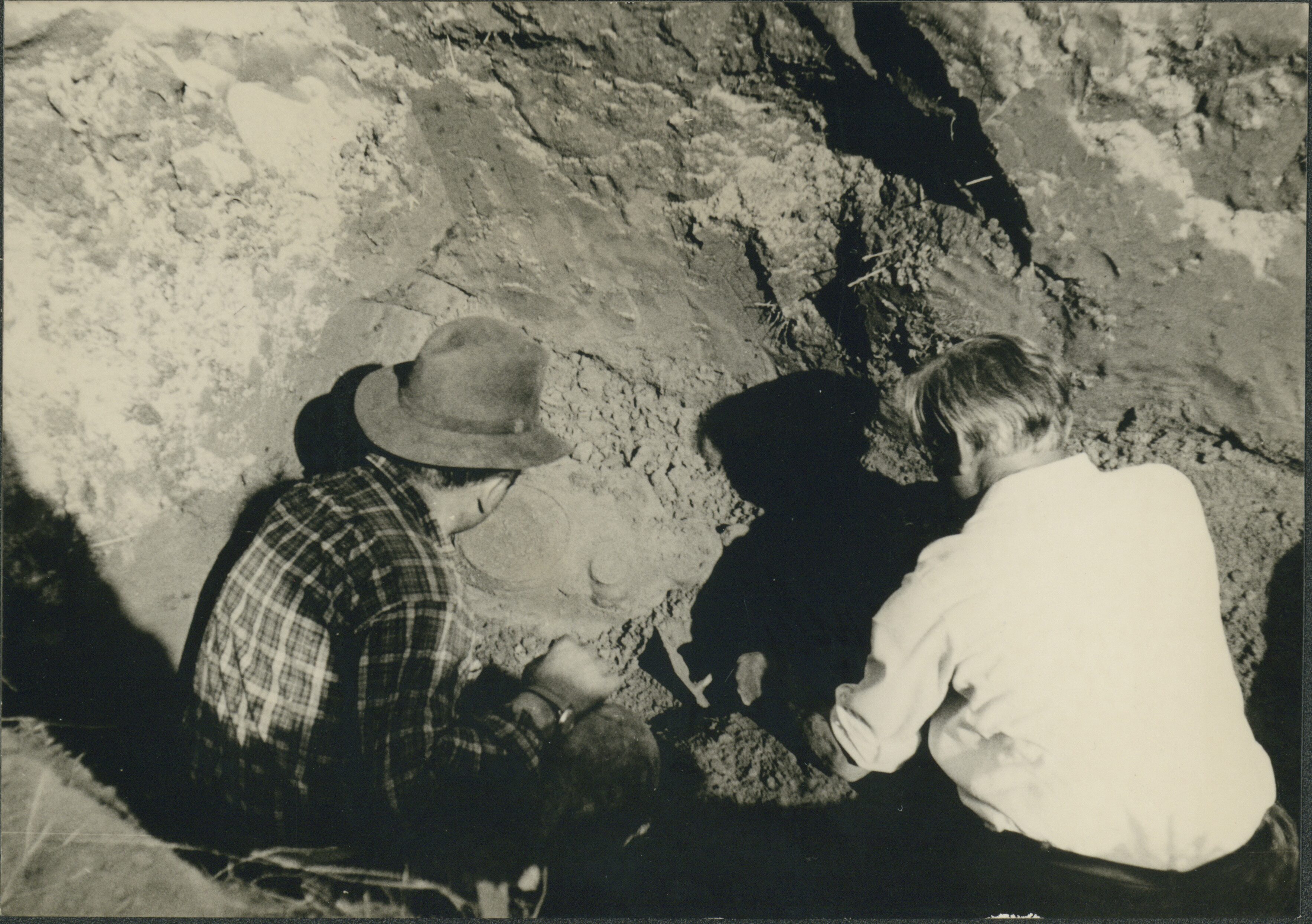 Viewer IIIF con fotografia e verso annotato della tomba n. 3 del dosso Lanfranchi a Gropello